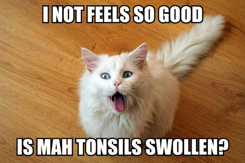 tonsillitis sucks